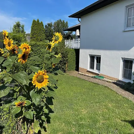 Sauer Tiefenbach (Rhein-Hunsruck)