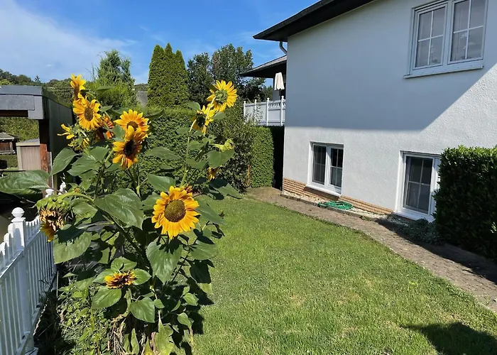 Sauer Tiefenbach (Rhein-Hunsruck)